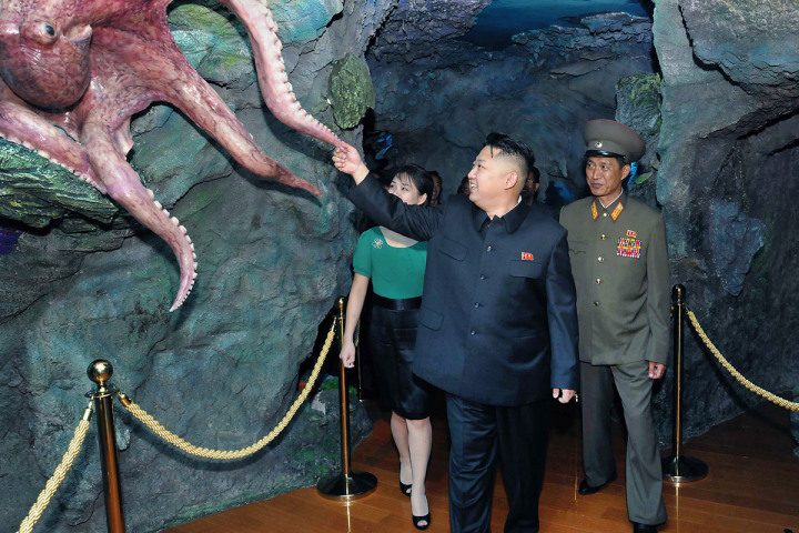 Kim Jong-un demostrando que si él quiere, puede tener un pulpo de mascota