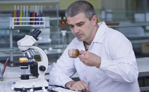 Chinea comprueba la absorción en café del bizcocho que estudia al microscopio.